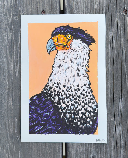 Caracara Archival Print, 6x9"