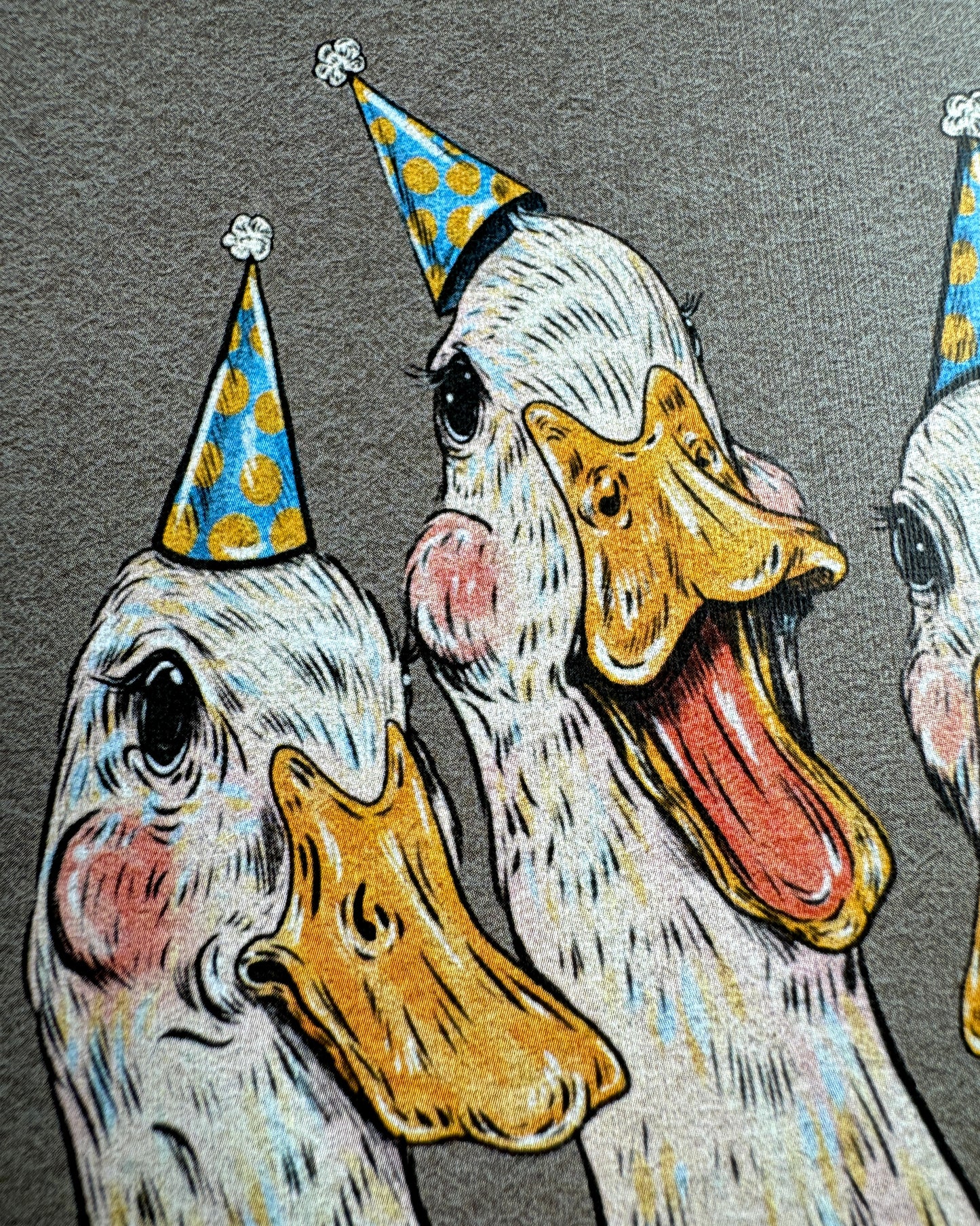 Close up of the party ducks print