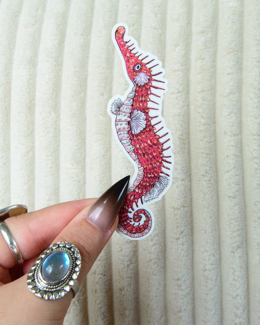 Sticker of a stylized cute red seahorse held by a hand with a silver ring against a beige background