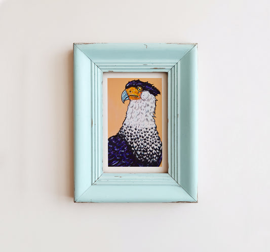 Caracara Archival Print, 6x9"