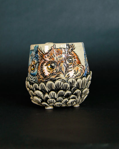 Sassy Owls Mug