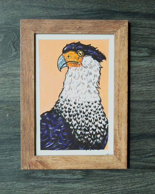 Caracara Portrait Original