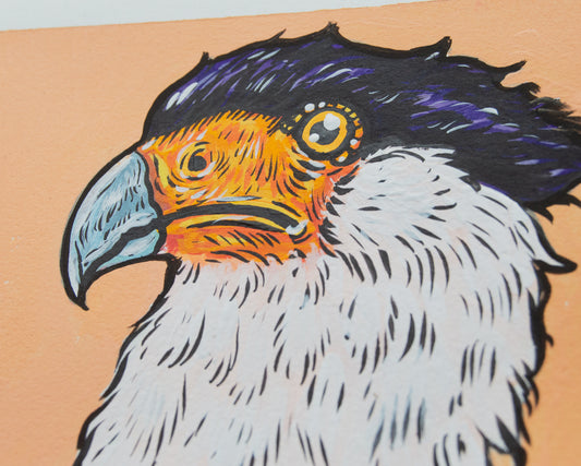 Caracara Portrait Original