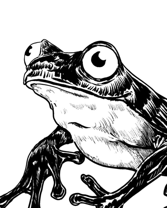 Black and white line drawing of a frog