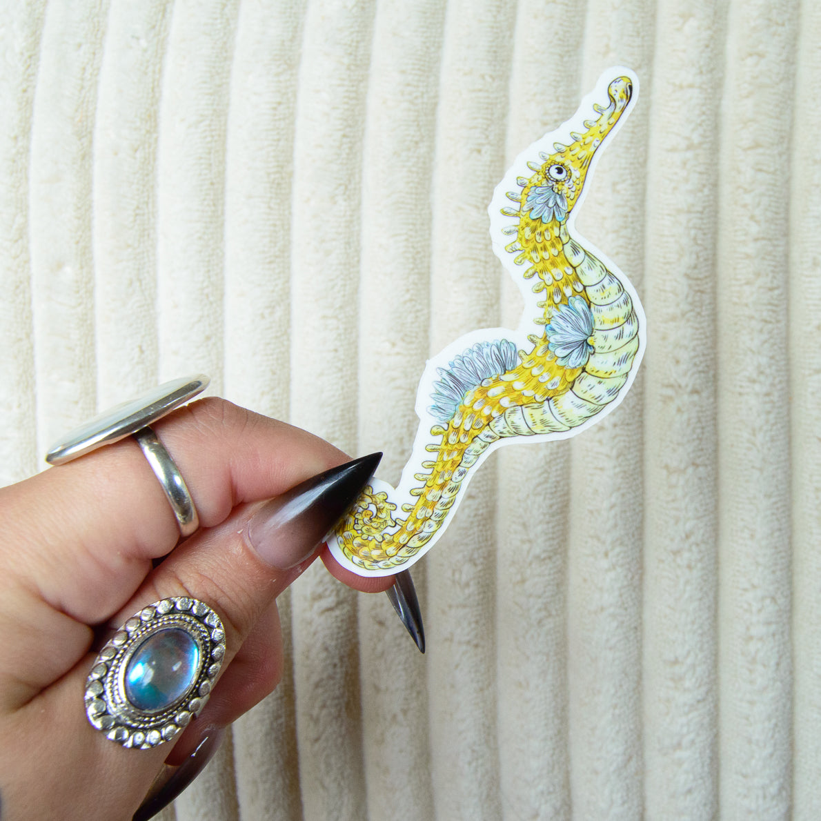 Hand holding a cute, stylized, colorful seahorse sticker against a textured white background