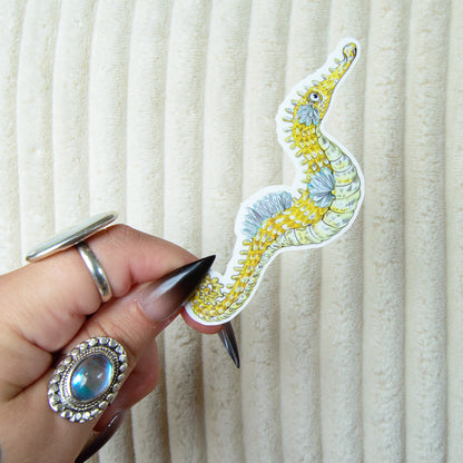 Hand holding a cute, stylized, colorful seahorse sticker against a textured white background